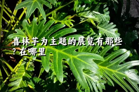 喜林芋为主题的展览有那些？在哪里