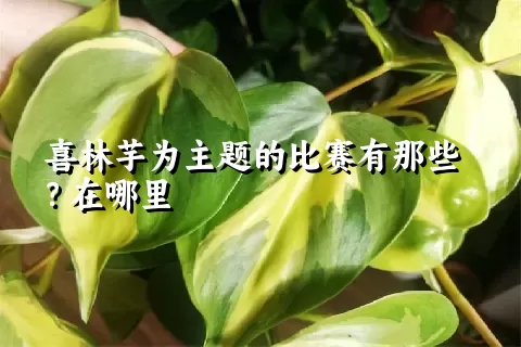 喜林芋为主题的比赛有那些？在哪里