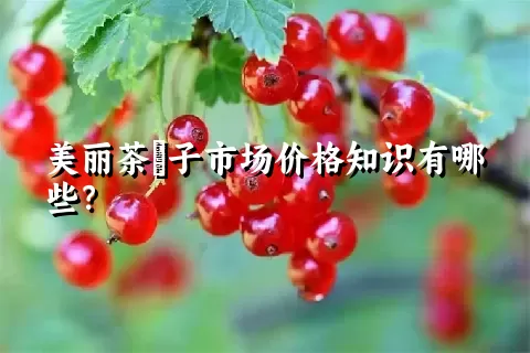 美丽茶藨子市场价格知识有哪些？