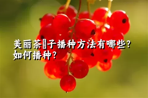 美丽茶藨子播种方法有哪些？如何播种？