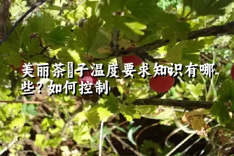 美丽茶藨子温度要求知识有哪些？如何控制