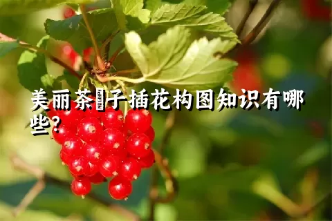 美丽茶藨子插花构图知识有哪些？