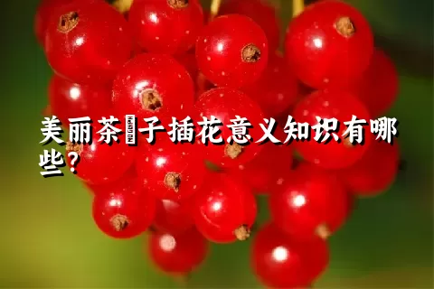 美丽茶藨子插花意义知识有哪些？