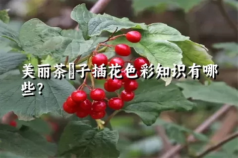 美丽茶藨子插花色彩知识有哪些？