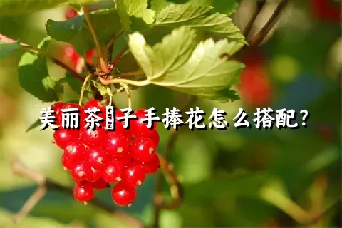 美丽茶藨子手捧花怎么搭配？