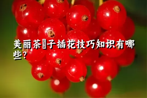 美丽茶藨子插花技巧知识有哪些？