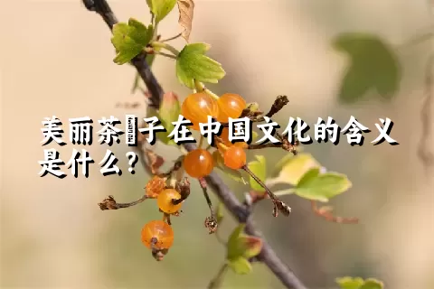 美丽茶藨子在中国文化的含义是什么？