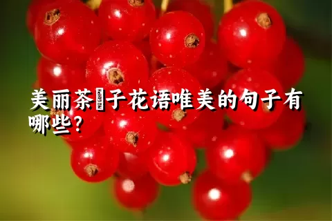 美丽茶藨子花语唯美的句子有哪些？