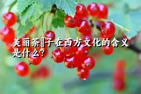 美丽茶藨子在西方文化的含义是什么？