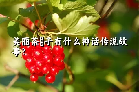 美丽茶藨子有什么神话传说故事？