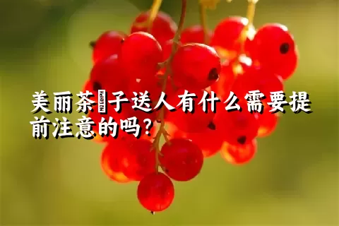 美丽茶藨子送人有什么需要提前注意的吗？