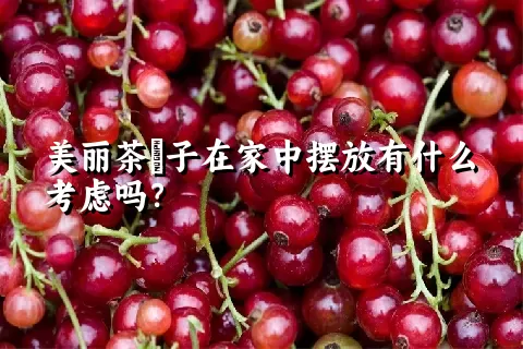 美丽茶藨子在家中摆放有什么考虑吗？