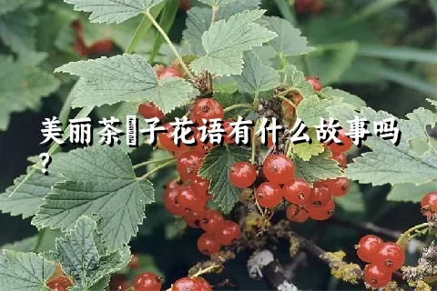 美丽茶藨子花语有什么故事吗？