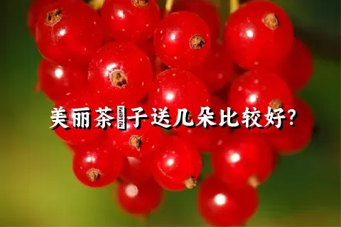 美丽茶藨子送几朵比较好？