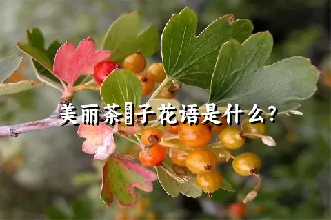 美丽茶藨子花语是什么？