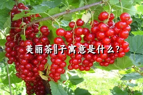 美丽茶藨子寓意是什么？