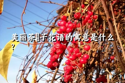 美丽茶藨子花语的寓意是什么？