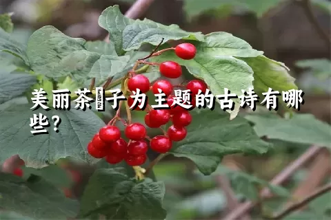 美丽茶藨子为主题的古诗有哪些？