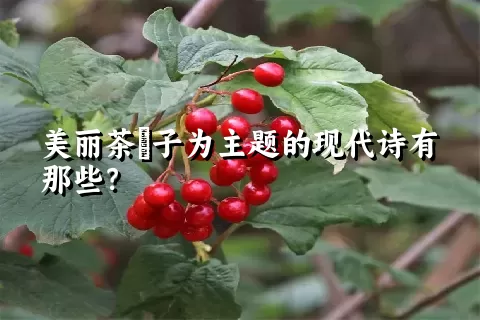 美丽茶藨子为主题的现代诗有那些？