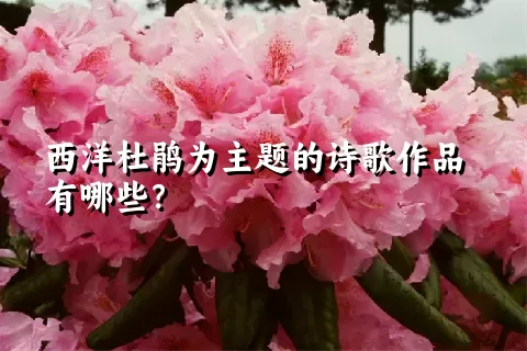 西洋杜鹃为主题的诗歌作品有哪些？