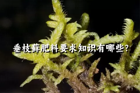 垂枝藓肥料要求知识有哪些？