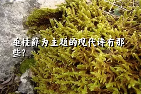 垂枝藓为主题的现代诗有那些？