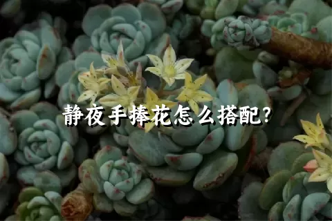 静夜手捧花怎么搭配？