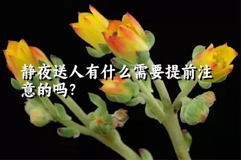 静夜送人有什么需要提前注意的吗？