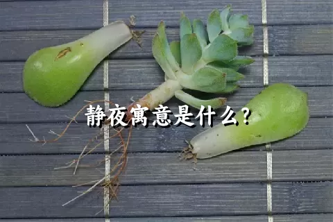 静夜寓意是什么？