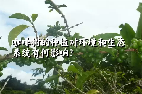 咖啡树的种植对环境和生态系统有何影响？