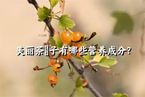 美丽茶藨子有哪些营养成分？