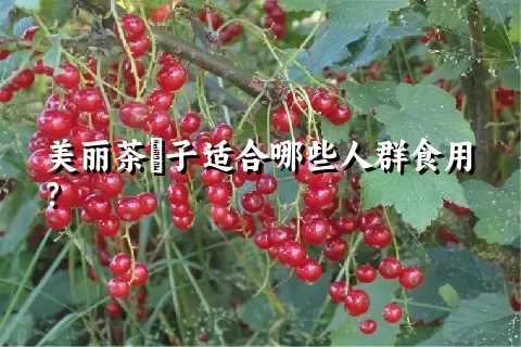 美丽茶藨子适合哪些人群食用？