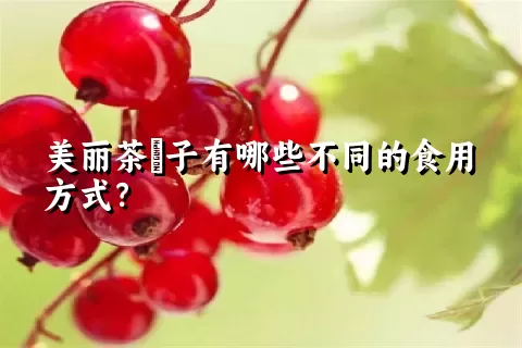 美丽茶藨子有哪些不同的食用方式？