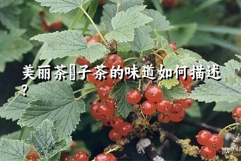 美丽茶藨子茶的味道如何描述？