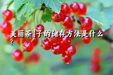 美丽茶藨子的储存方法是什么？