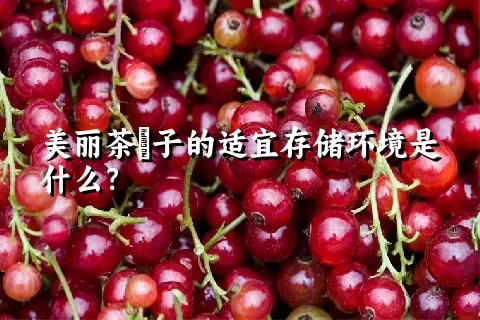 美丽茶藨子的适宜存储环境是什么？