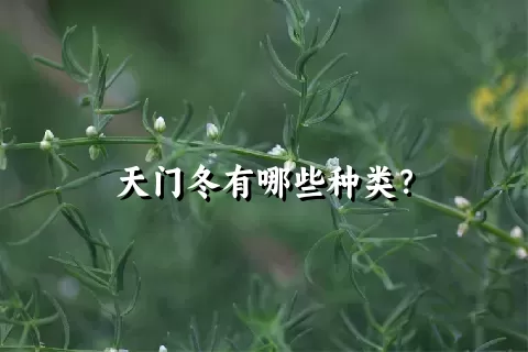 天门冬有哪些种类？