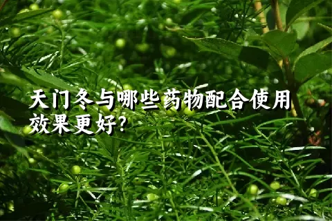 天门冬与哪些药物配合使用效果更好？