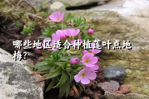 哪些地区适合种植莲叶点地梅？