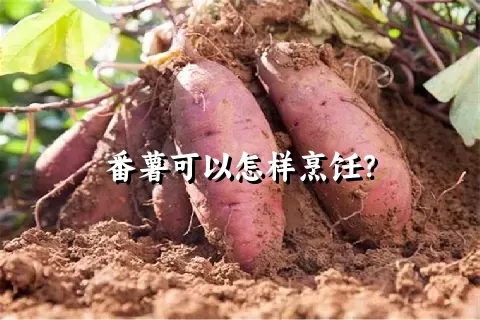 番薯可以怎样烹饪？