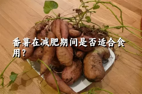 番薯在减肥期间是否适合食用？