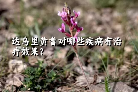 达乌里黄耆对哪些疾病有治疗效果？