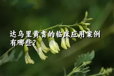 达乌里黄耆的临床应用案例有哪些？