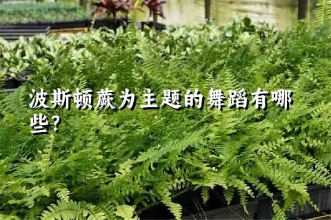 波斯顿蕨为主题的舞蹈有哪些？