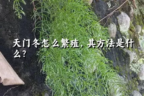 天门冬怎么繁殖，其方法是什么？