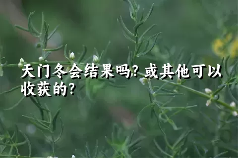 天门冬会结果吗？或其他可以收获的？