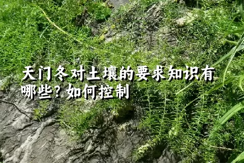 天门冬对土壤的要求知识有哪些？如何控制