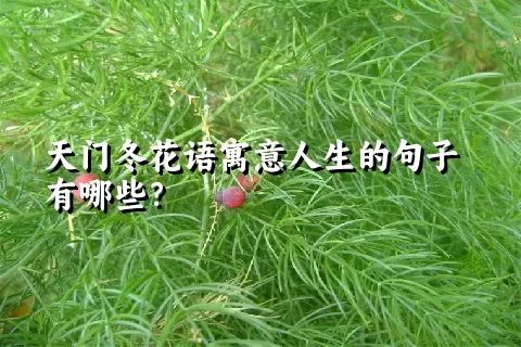 天门冬花语寓意人生的句子有哪些？