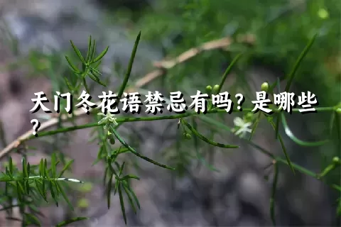 天门冬花语禁忌有吗？是哪些？