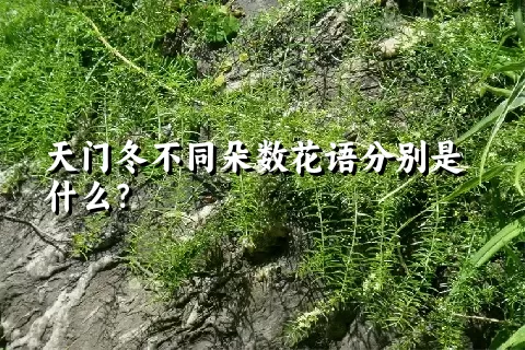 天门冬不同朵数花语分别是什么？